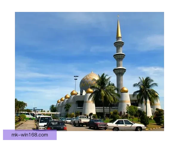 MK体育入口全面解析与最新活动资讯汇总指南